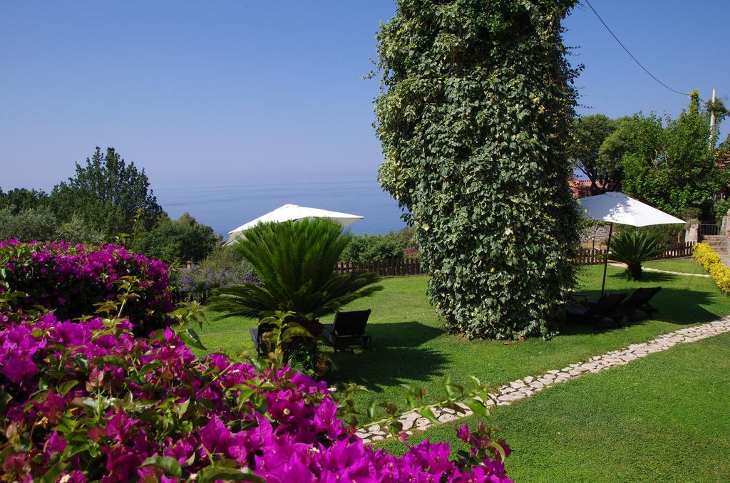 Bed And Breakfast Nefer Maratea Exteriér fotografie